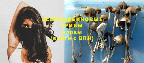 а пвп мука Абаза